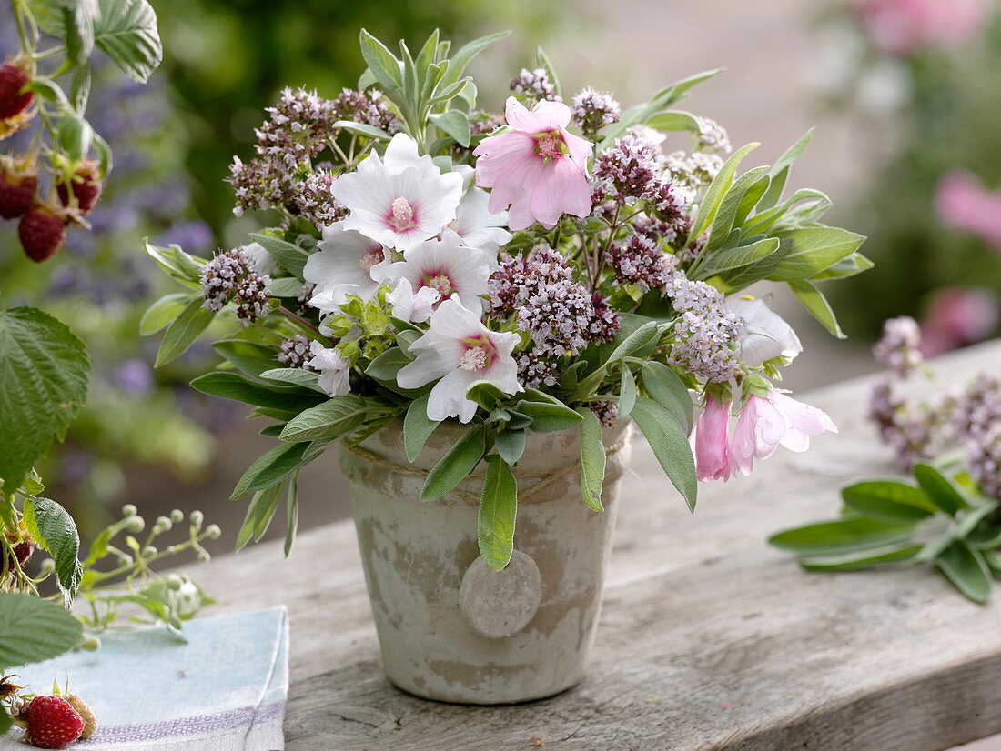 White-pink herb bouquet