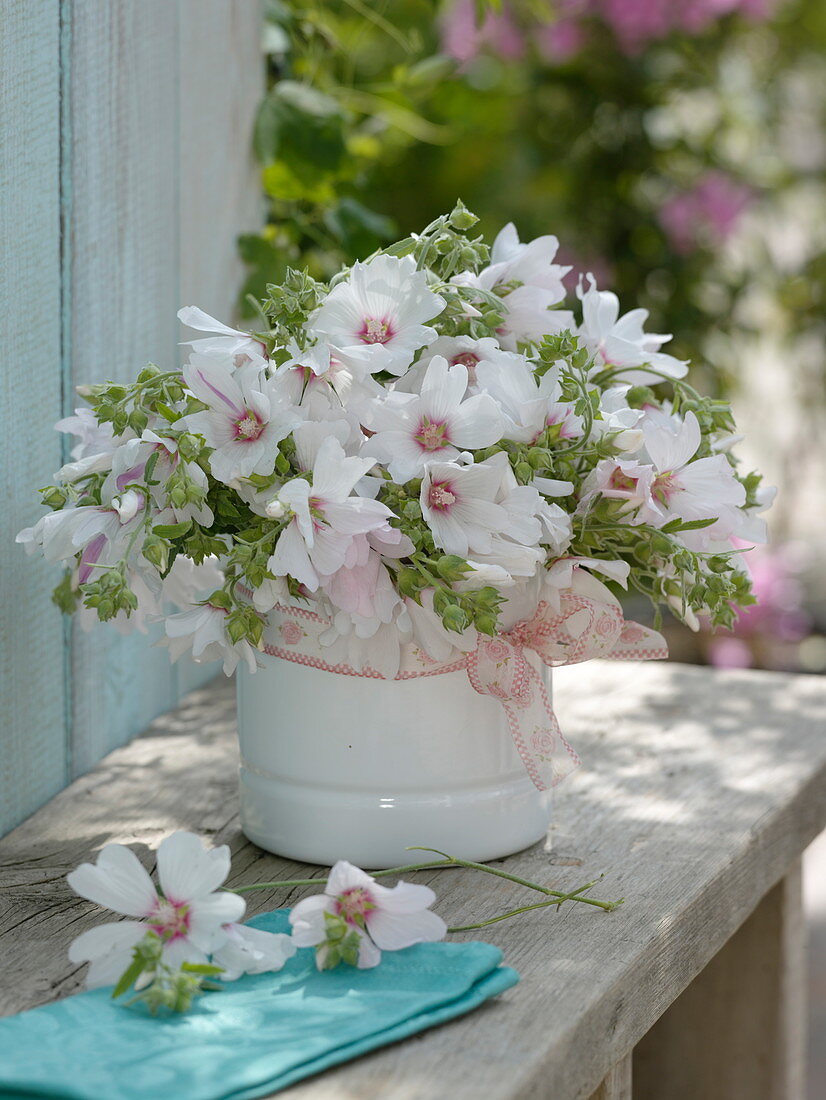 Bouquet made of Lavatera thuringiaca 'Barnsley' (shrub mallow)