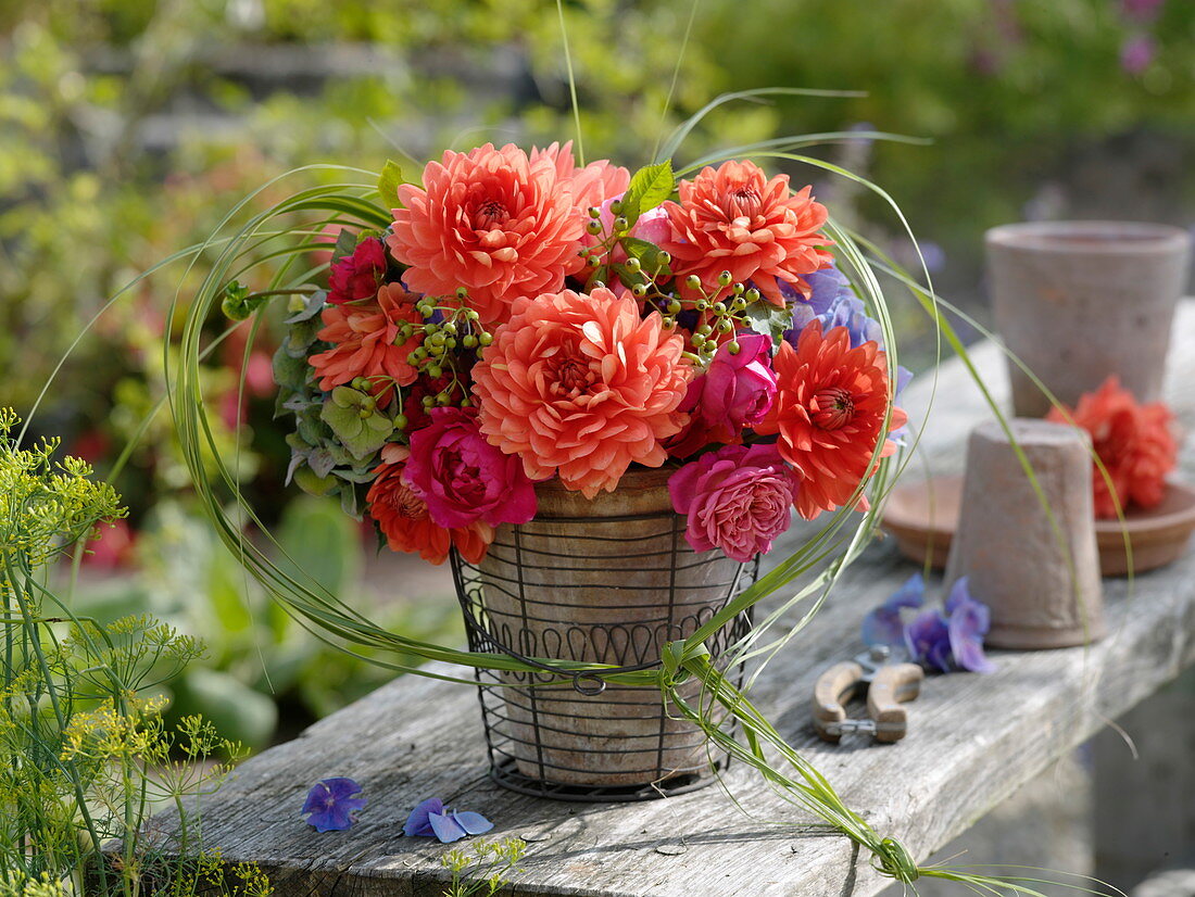 Dahlia, Rosa, Hydrangea