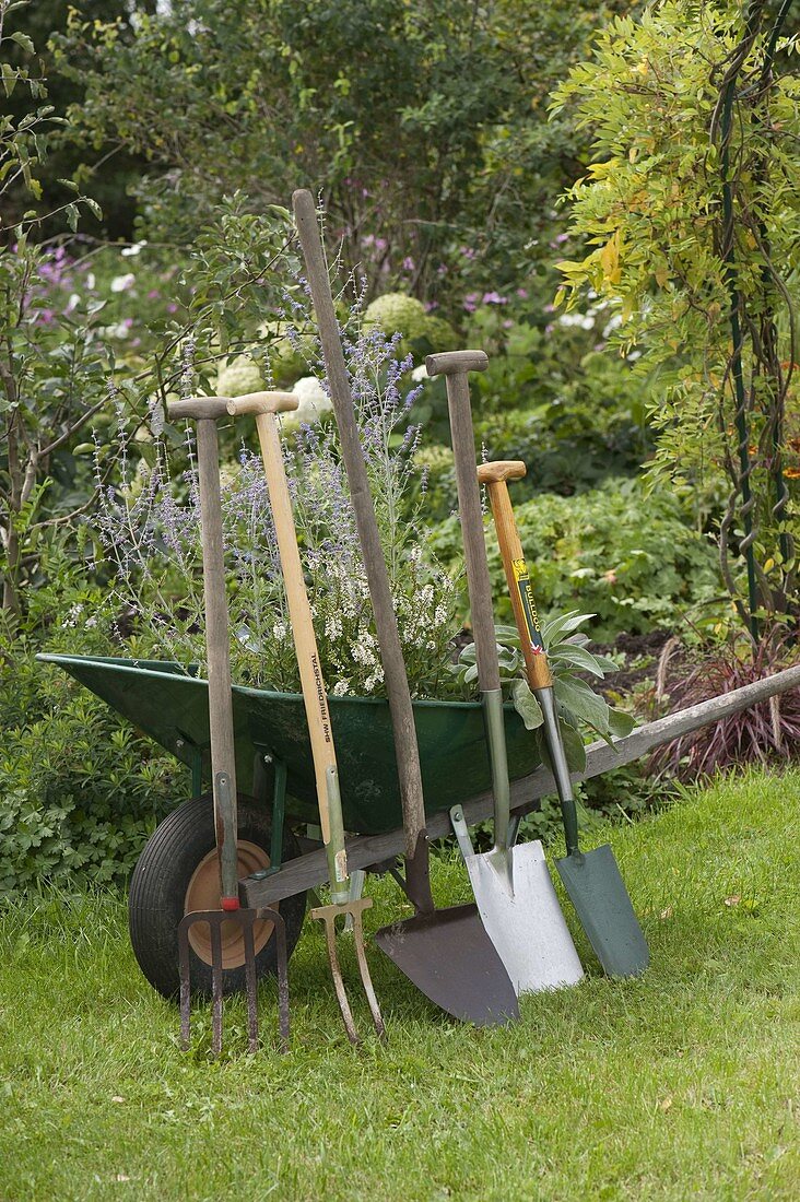 Various digging tools leaning against a wheelbarrow