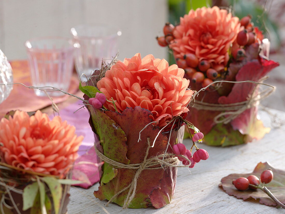 Dahlias wrapped in glasses with berry leaves