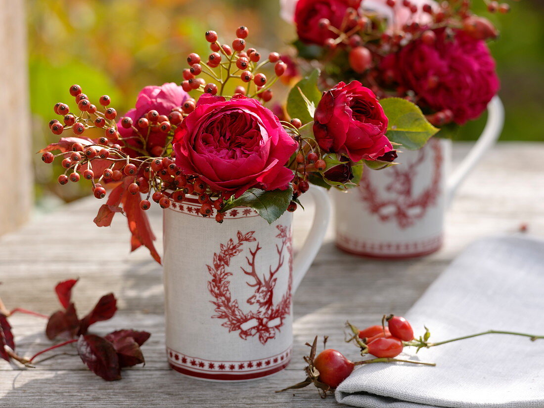 Deer motif mugs with rose 'Red Leonardo Da Vinci'