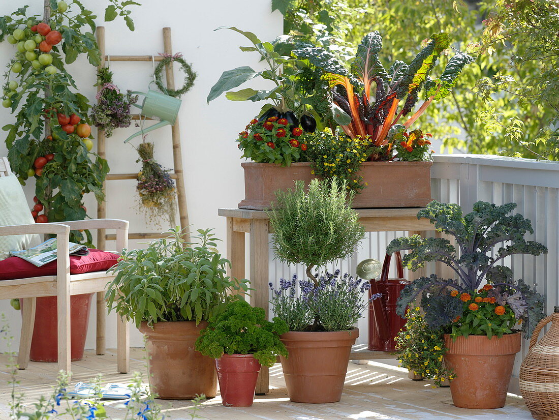 Vegetables and herbs on the balcony