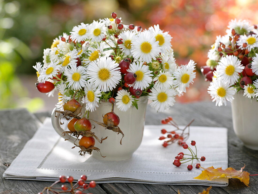 Kleine Herbststräuße in Tassen : Aster (Herbstastern), Rosa (Hagebutten)