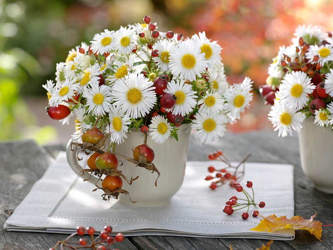 Small autumn bouquets in cups, aster, Rose
