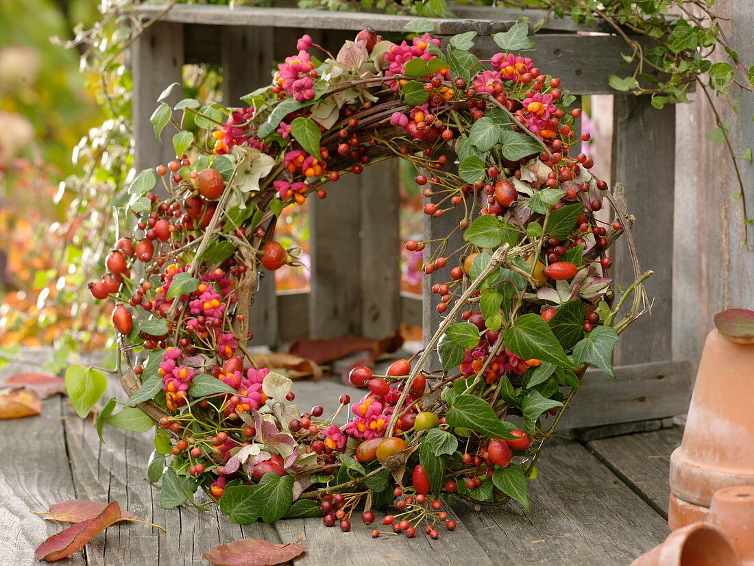 Wreath of Hedera, fruits of Euonymus, Rosa