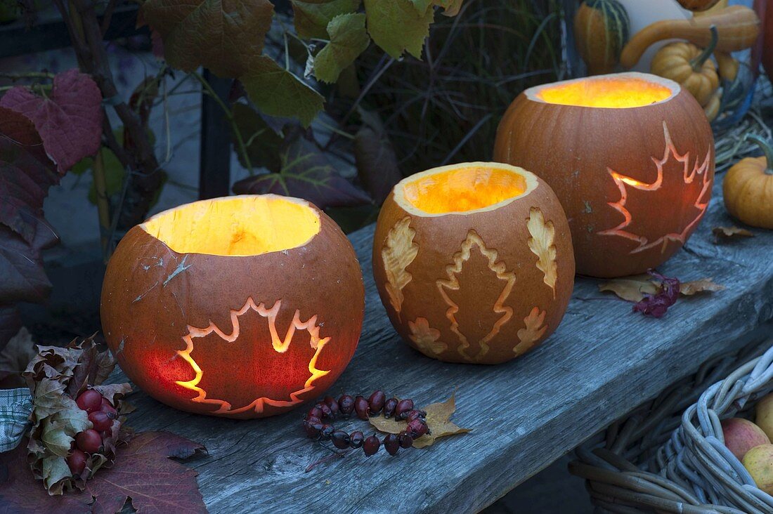 Glowing pumpkins carved with leaves