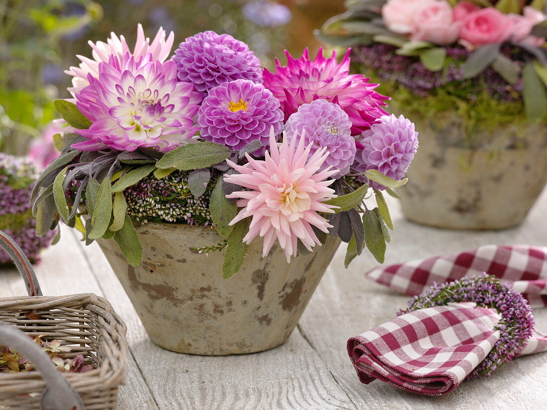 Gesteck aus Dahlia (Dahlie), Salvia (Salbei) und Kranz aus Calluna