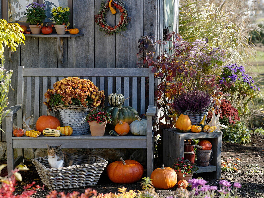 Herbstgestaltung am Gartenhaus