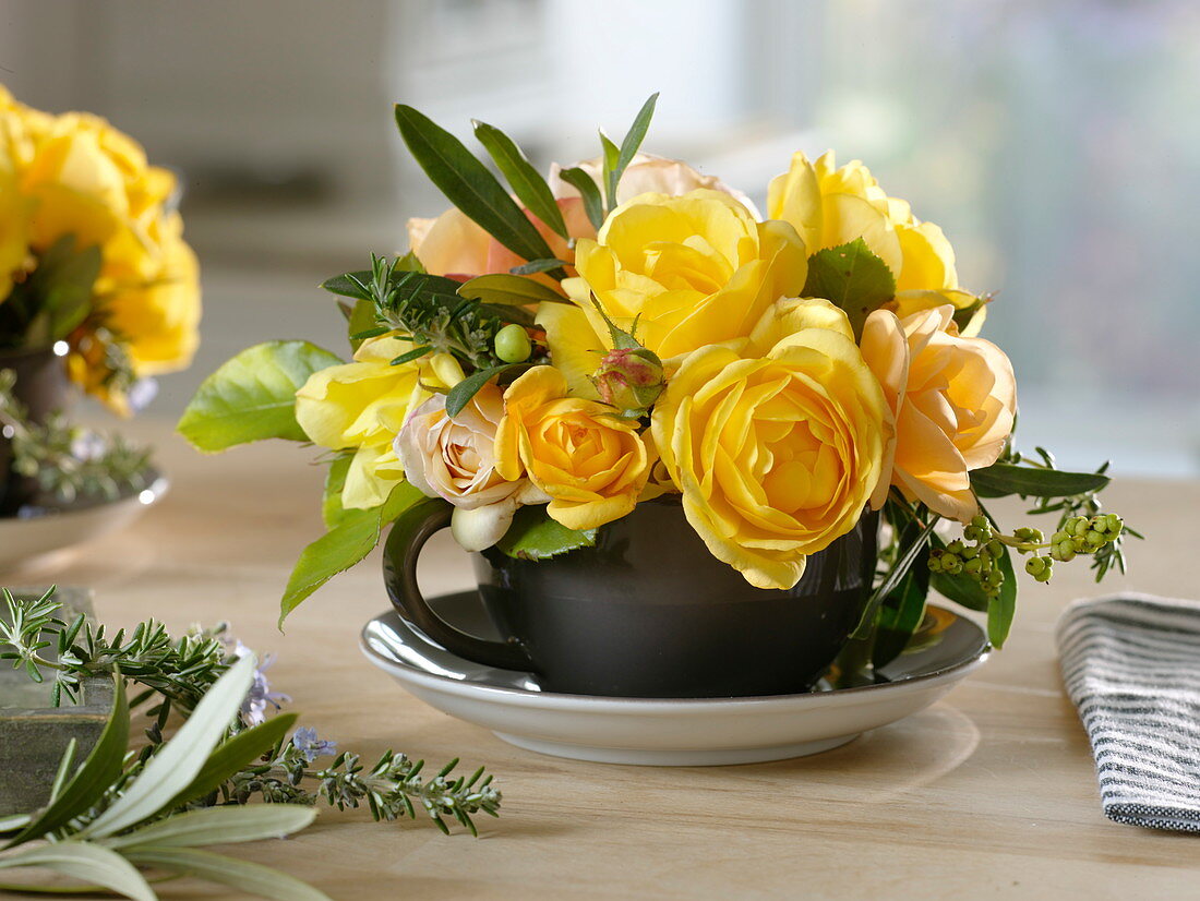 Tasse mit gelben Rosa (Rosen), Oliven-Zweigen (Olea europaea), Rosmarin