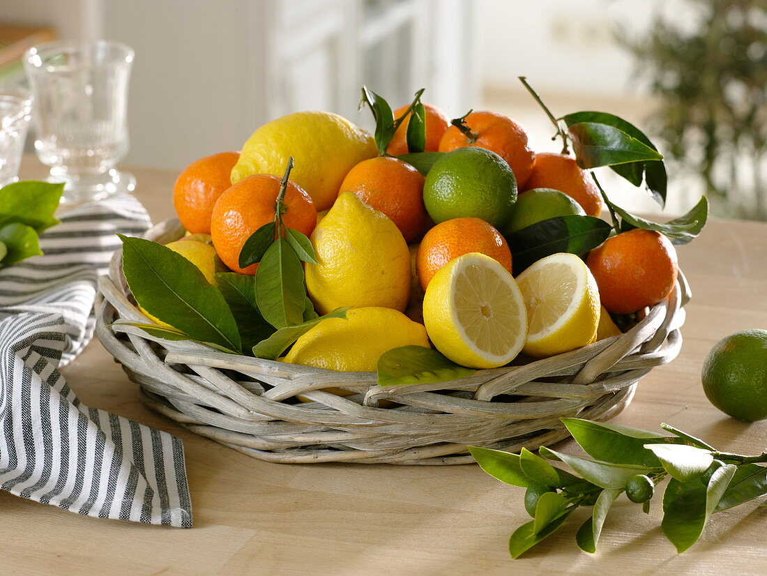 Korb mit Mandarinen (Citrus reticulata), Zitronen (Citrus limon), Limetten