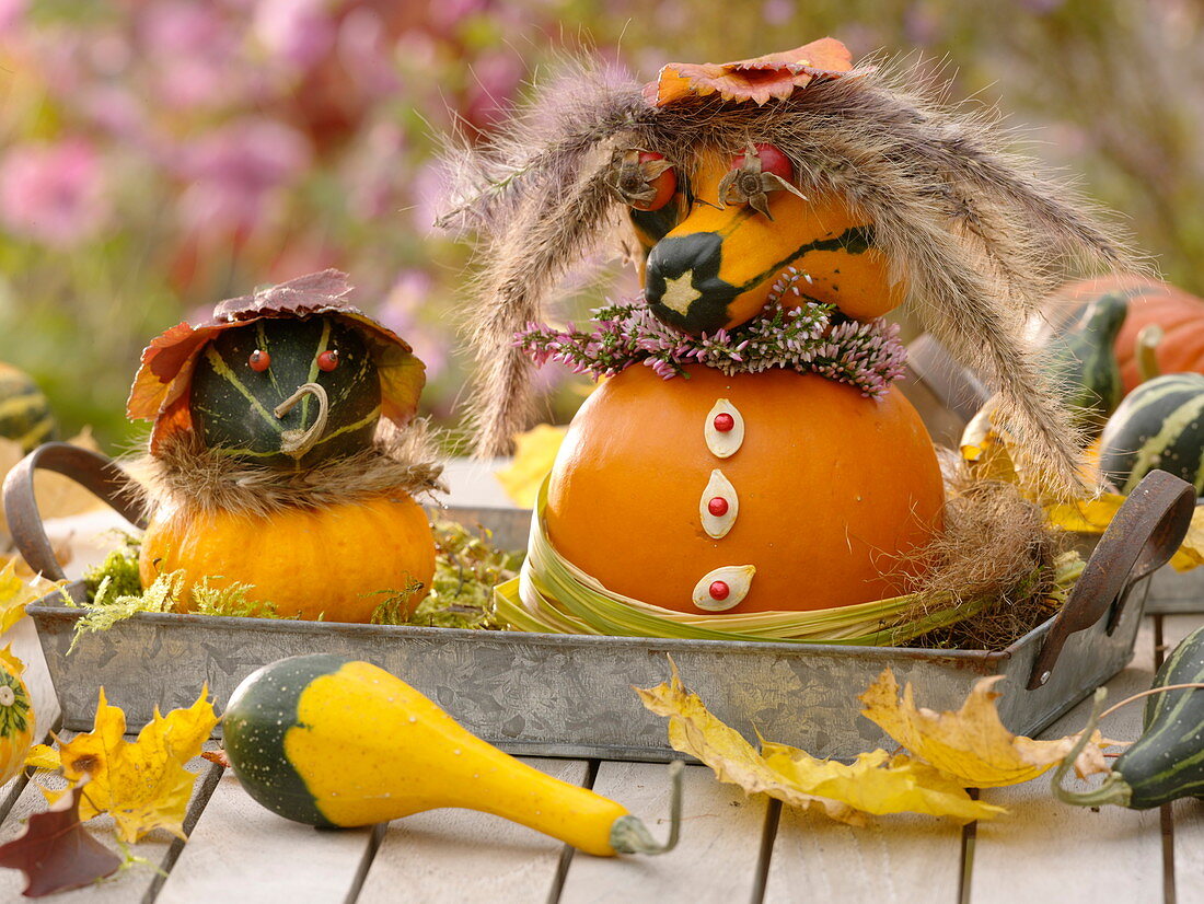 Pumpkin figures made from pumpkins and ornamental pumpkins