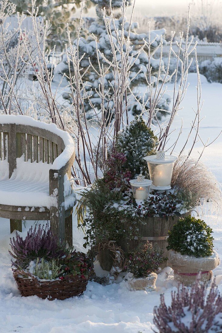 Wintery terrace arrangement