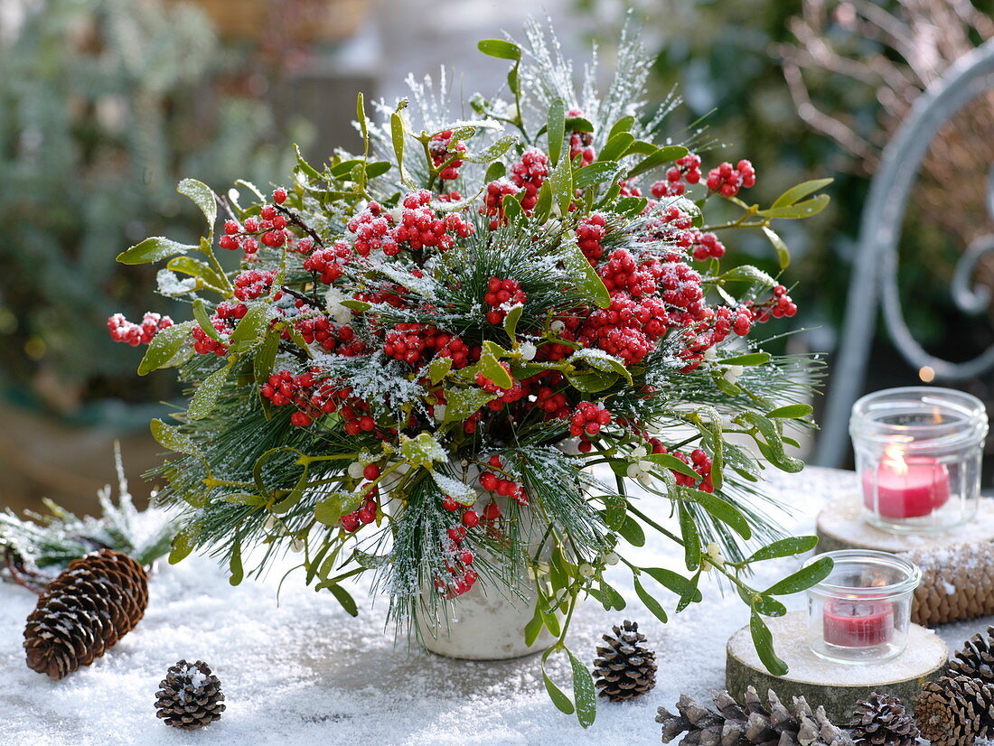 Winter bouquet with Ilex (red winter berry), Viscum album (mistletoe)