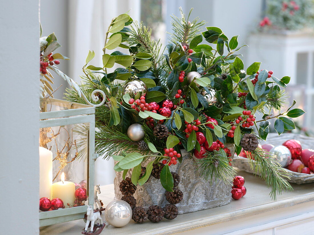 Weihnachtliches Gesteck mit Ilex (Stechpalme), Pinus (Kiefer)