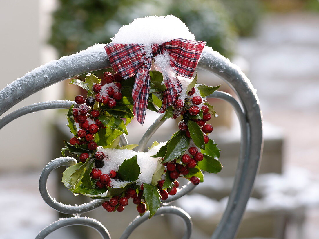 Verschneiter Kranz aus Ilex (Stechpalme) mit kariertem Schleifenband