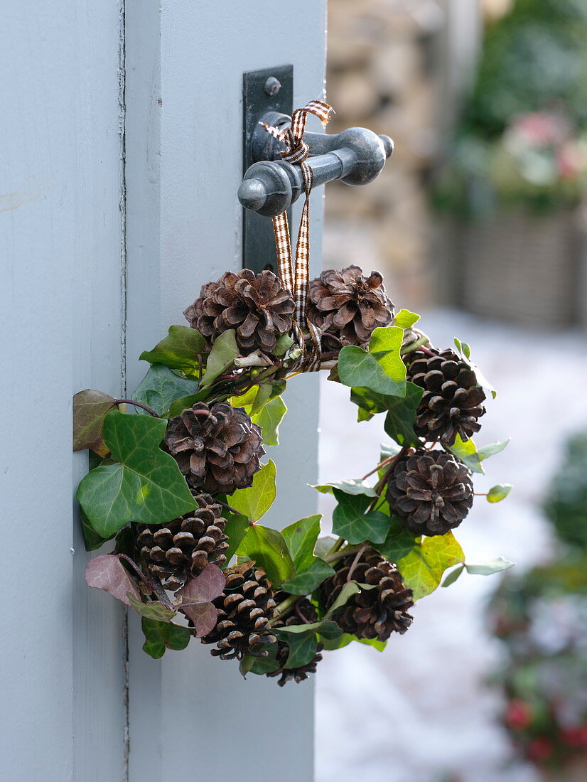 Natural hedera (ivy) and Pinus cones wreath