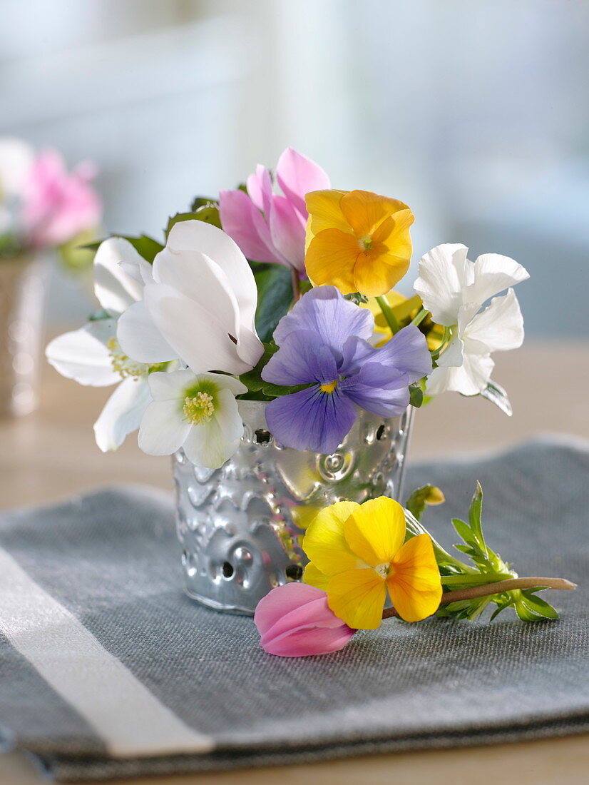 Kleiner Strauß aus Helleborus niger (Christrose), Viola (Stiefmütterchen)