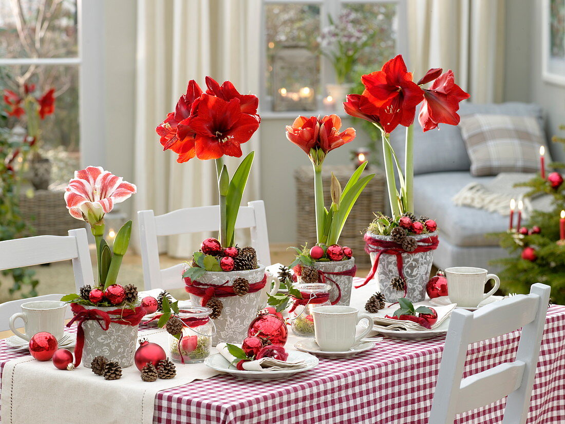 Red and white Amaryllis table decoration