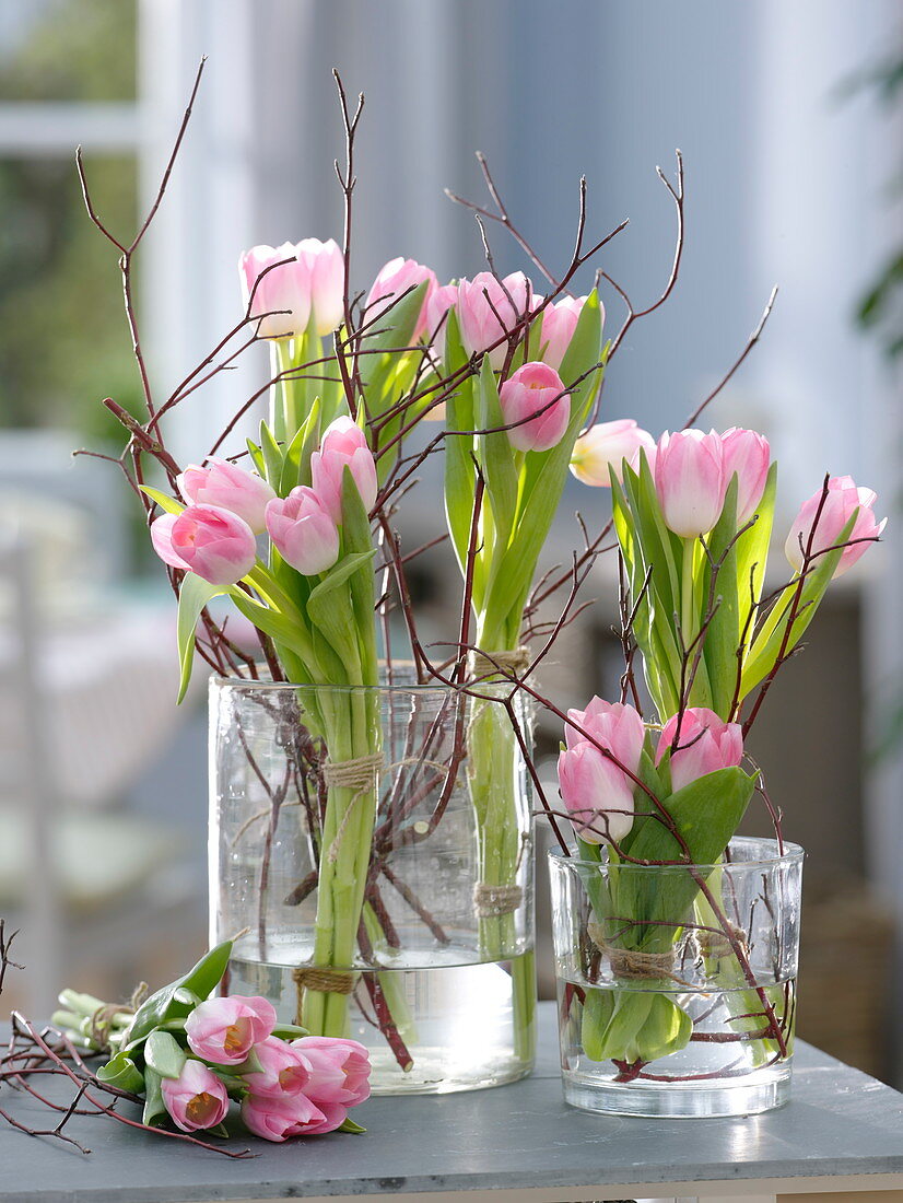 Sträuße aus Tulipa 'Dynasty' (Tulpen) mit Zweigen von Cornus (Hartriegel)