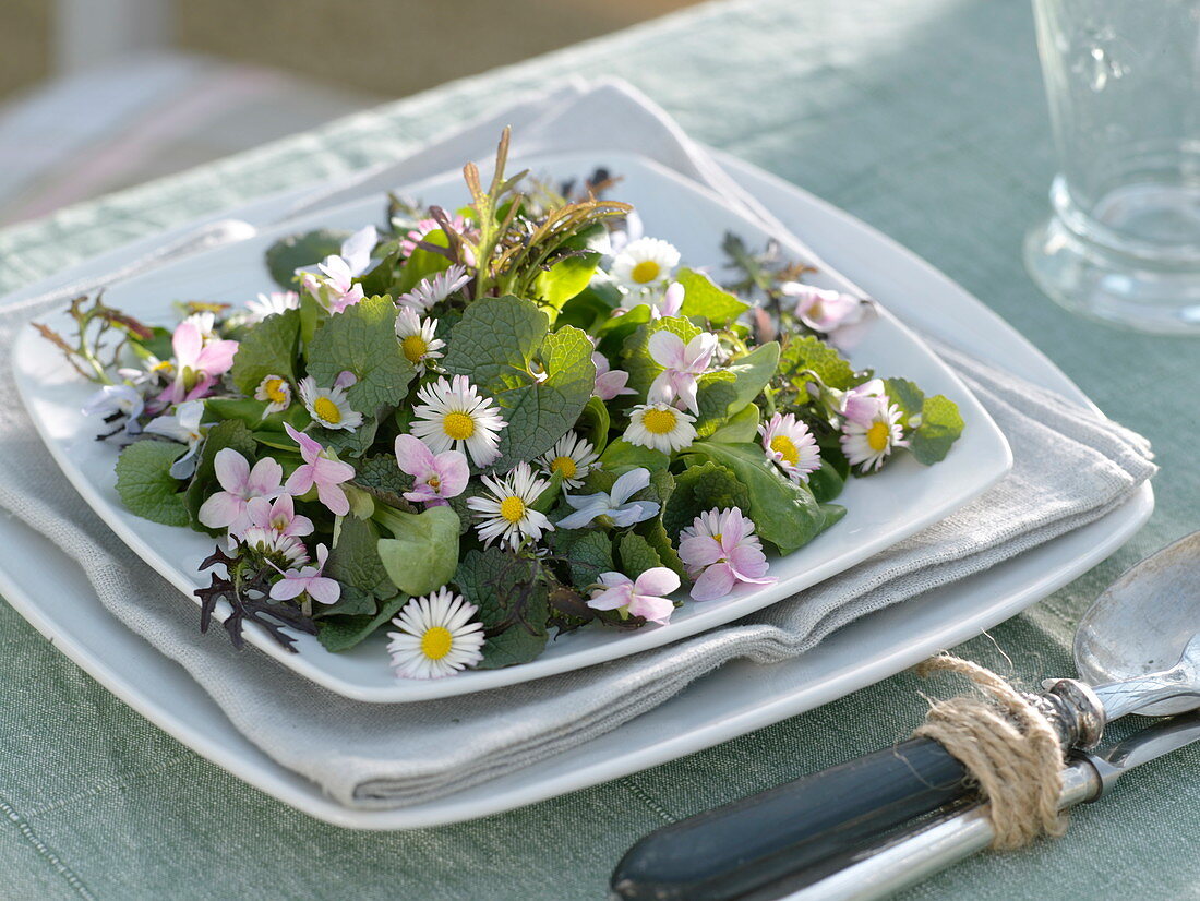 Wild herb salad as a spring cure