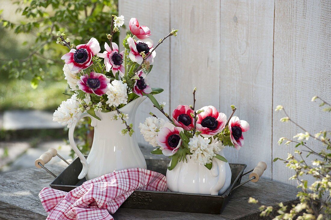 Red-white scented bouquets with Hyacinthus, anemone coronaria