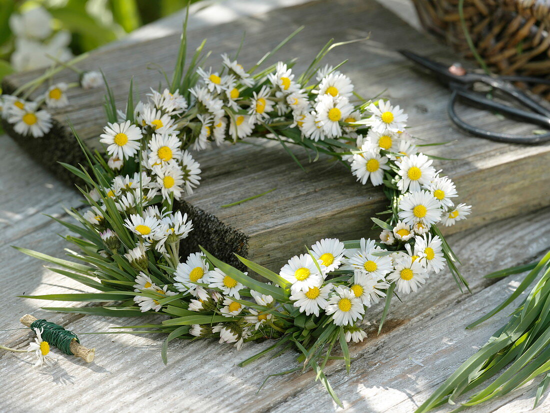 Small Bellis perennis (daisies) and grasses wreath