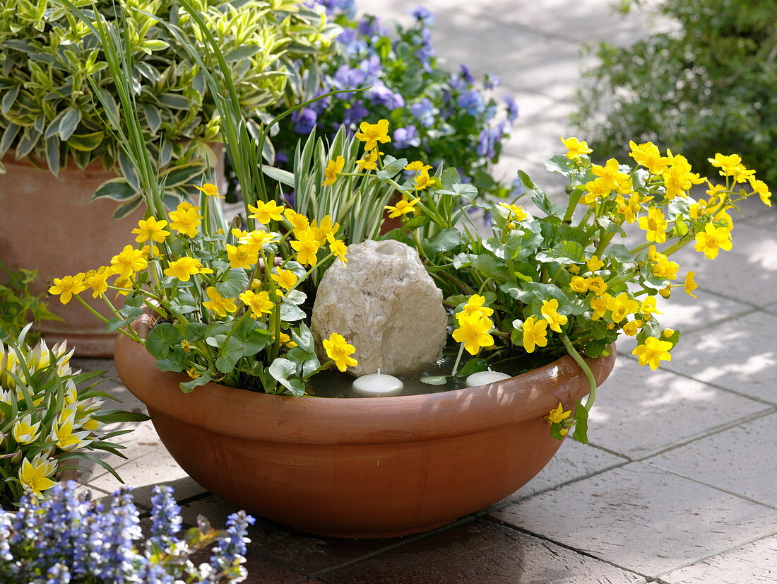 Bowl with Caltha palustris, iris, sourcestone