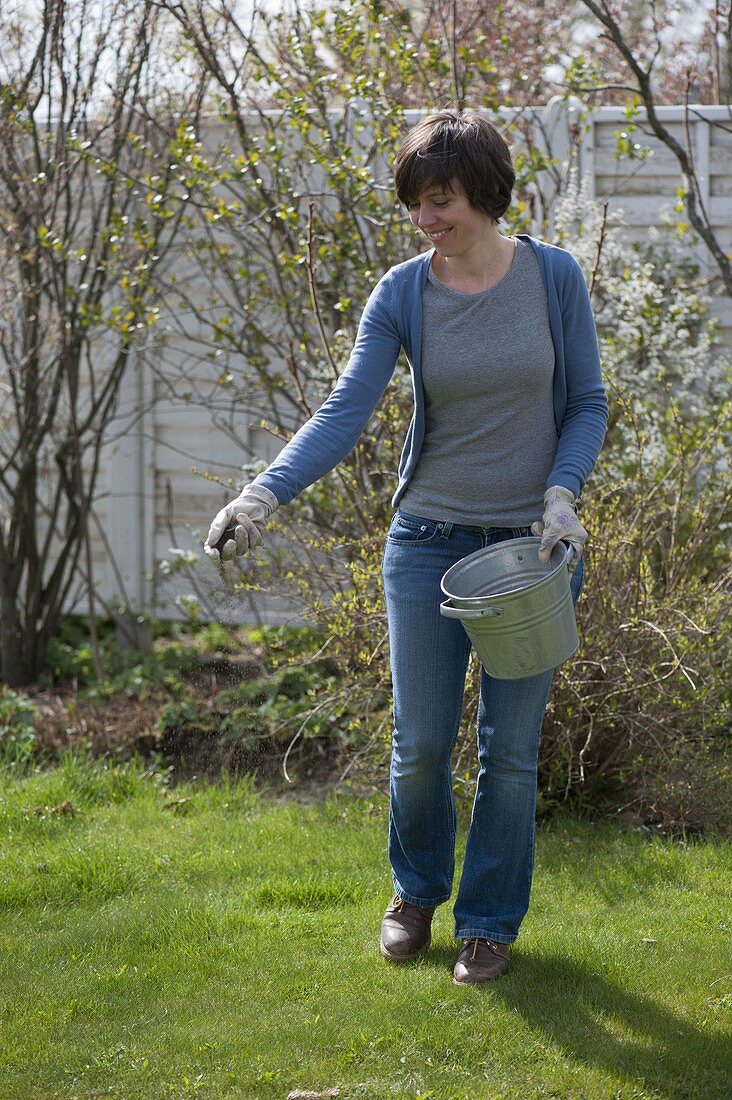 Woman is fertilizing lawn in spring
