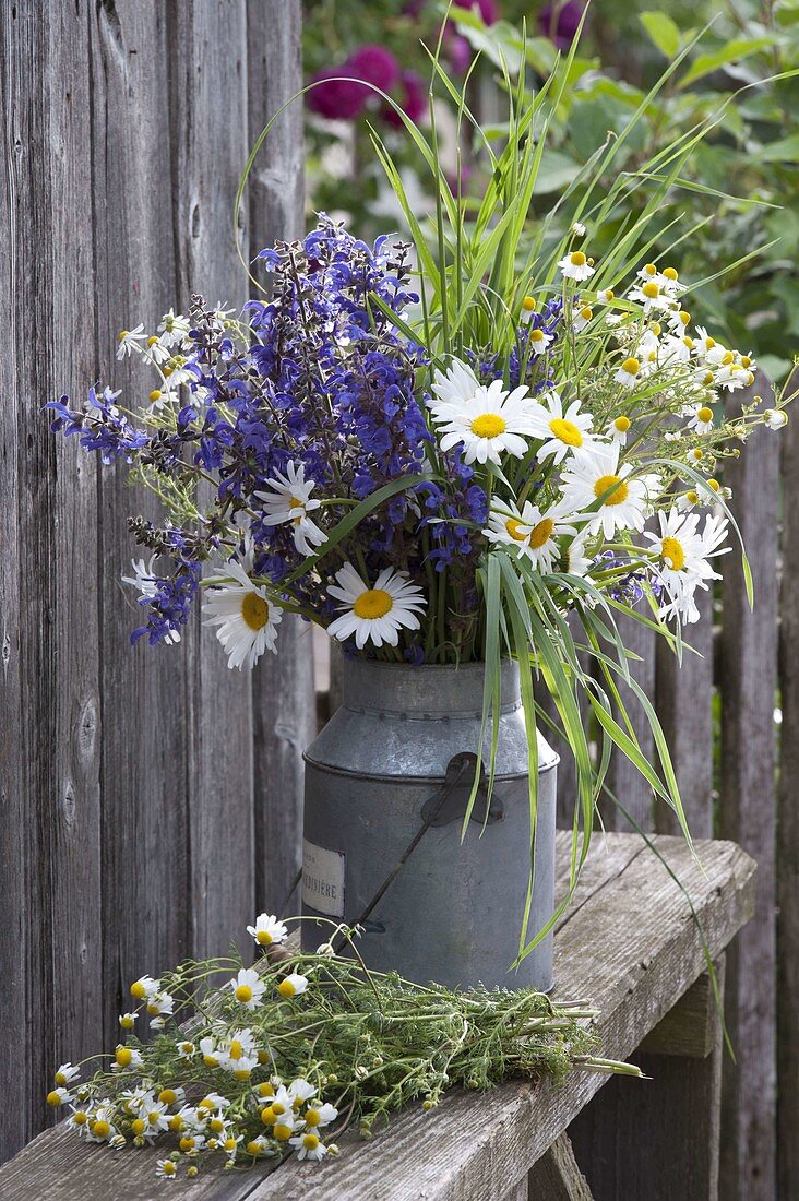 Blue and white bouquet from Salvia pratensis and Leucanthemum