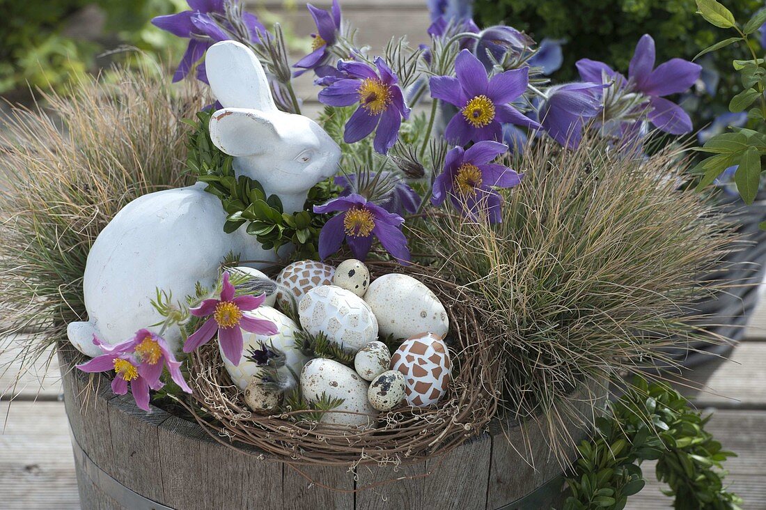 Wooden tub with Pulsatilla as Easter basket
