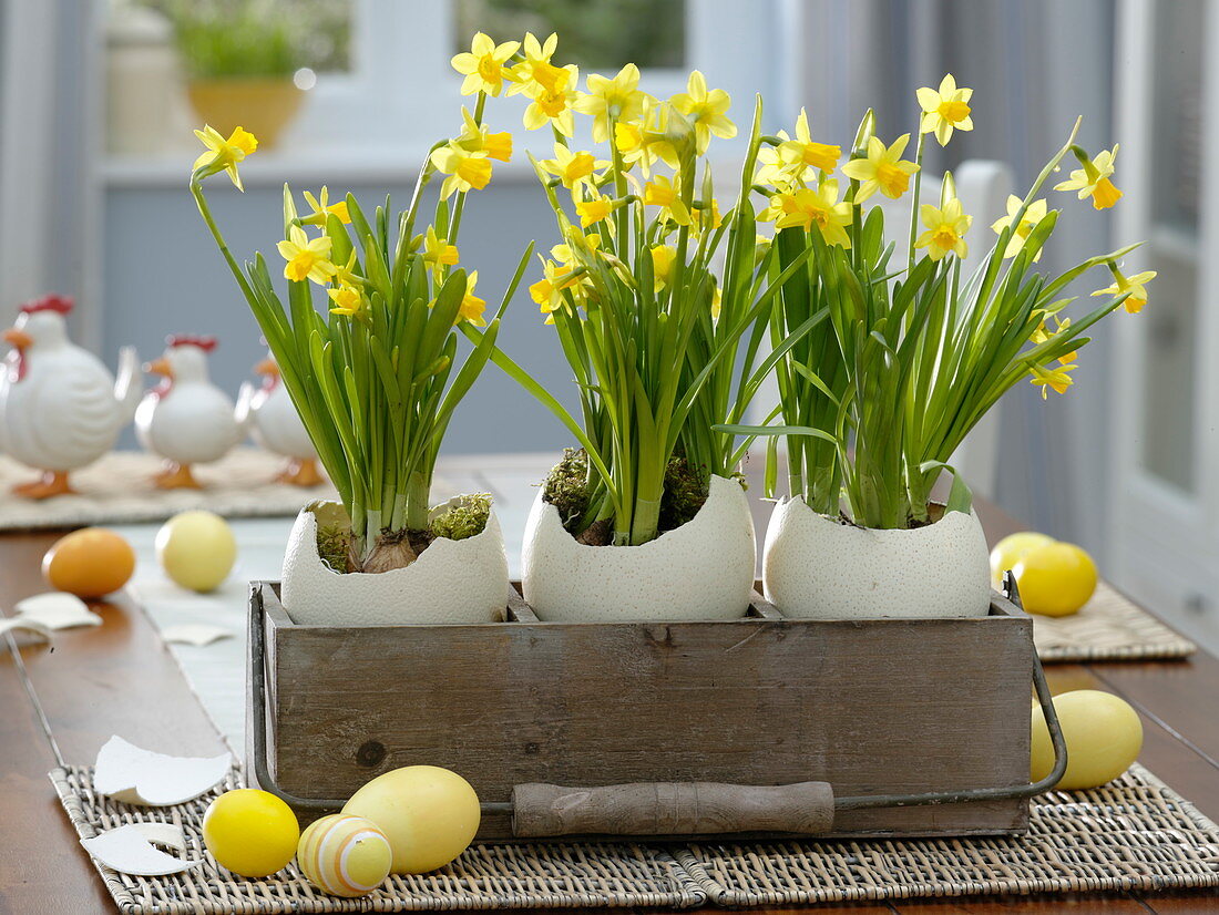 Easter decoration with ostrich eggs