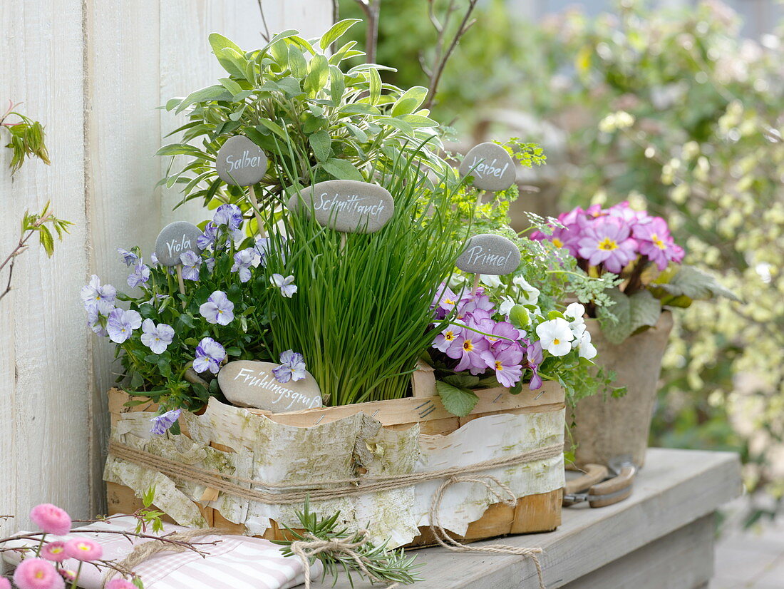 Herbs and edible flowers in the basket