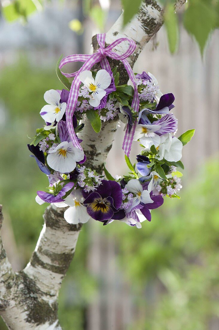 Kleines Kränzchen aus Viola cornuta (Hornveilchen) und Thymian