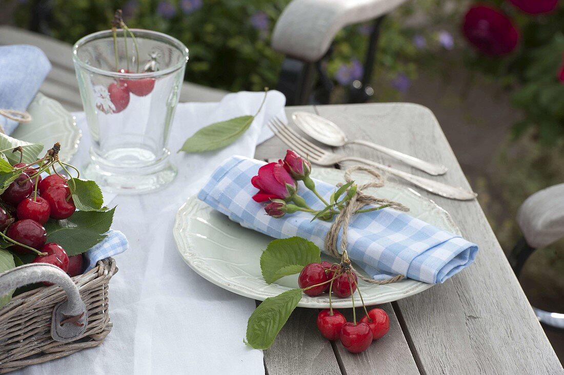 Cherry festival, sweet cherries, napkin with rose petals