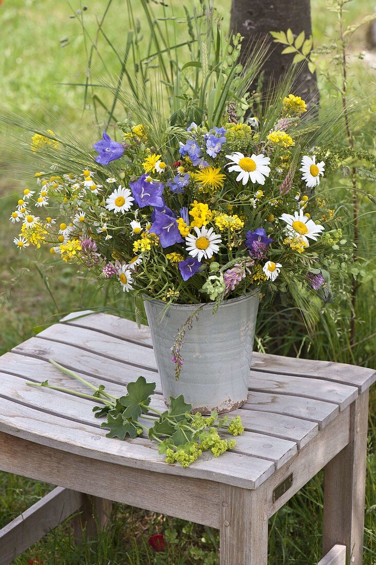 Colorful early summer bouquet, Leucanthemum vulgare