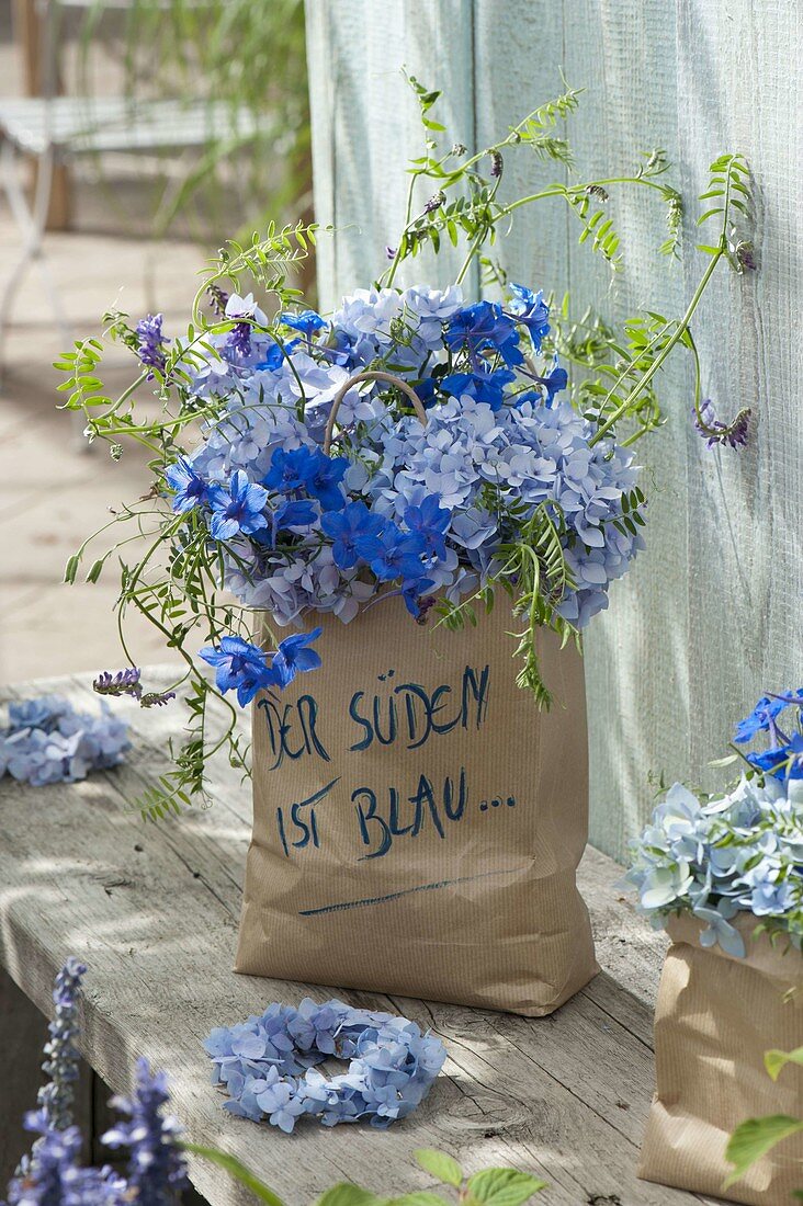 Blue Bouquet from Hydrangea 'Endless Summer', Delphinium