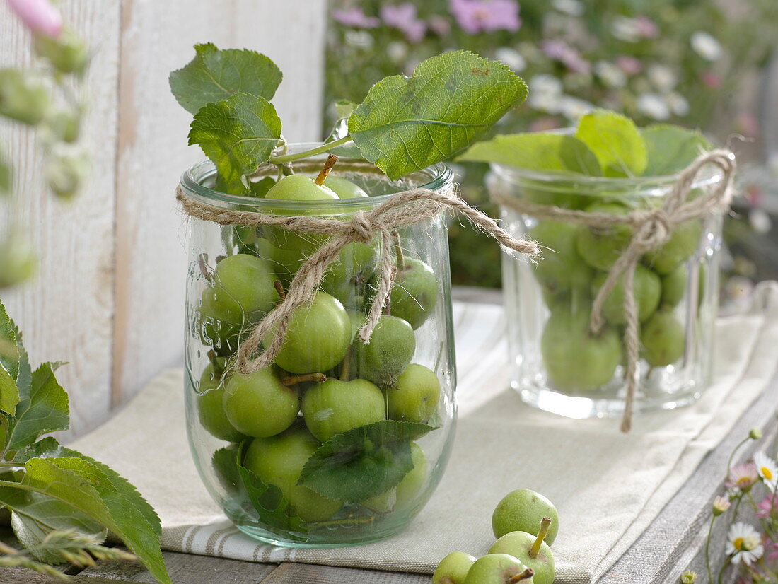Green apples (Malus) in canning jars, decorated with burlap string