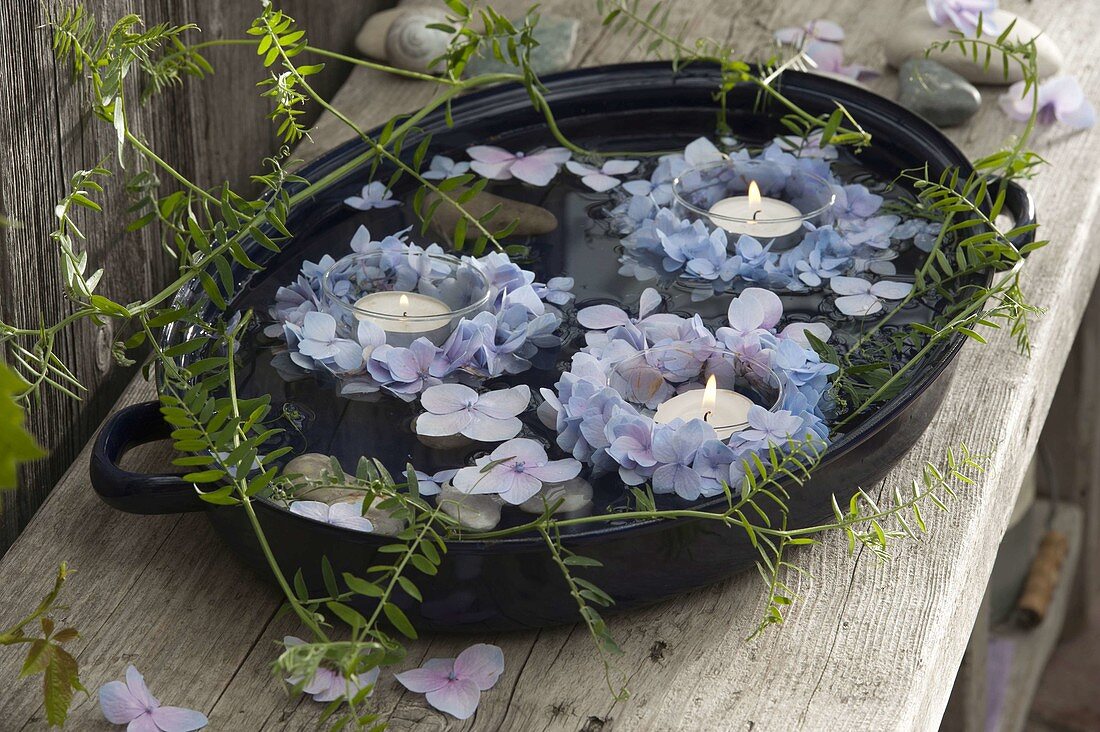 Kleine Kränze aus Hydrangea (Hortensie) und Blüten schwimmen