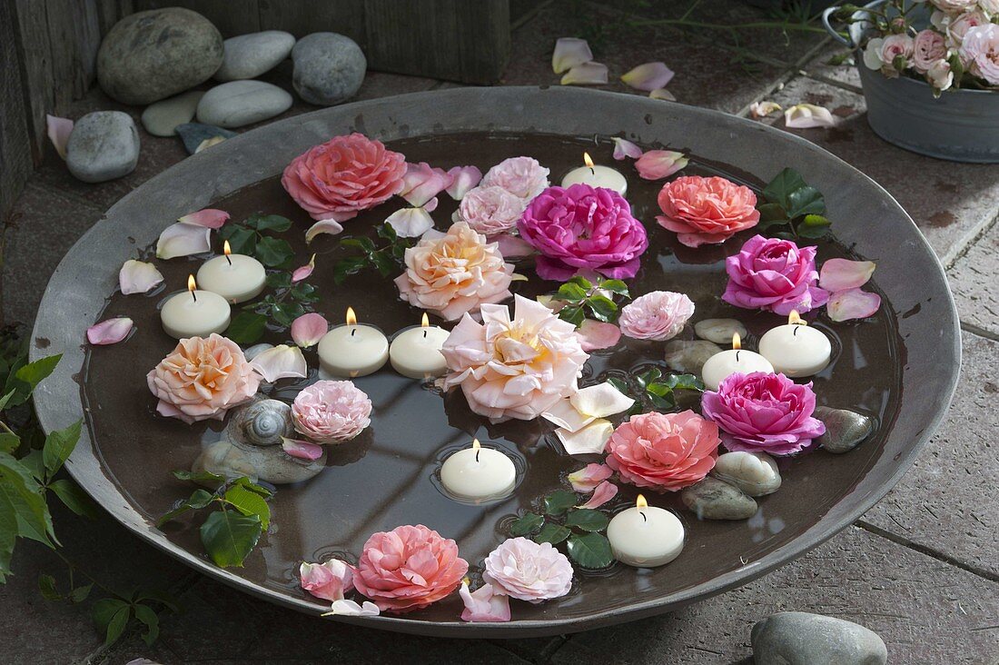 Rosa (Rosen - Blüten) und Schwimmkerzen in breiter Schale mit Wasser