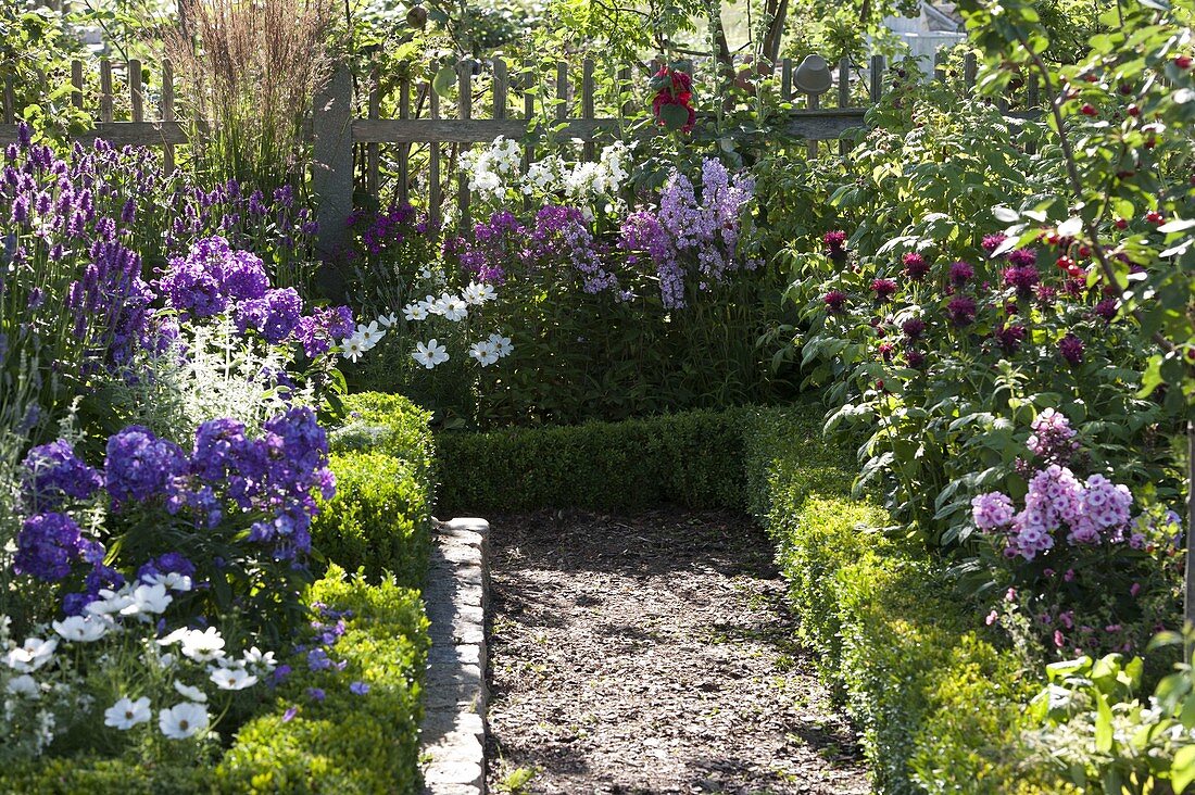 Bauerngarten mit blühenden Stauden und Sommerblumen