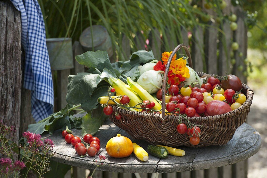 Basket of freshly harvested vegetables