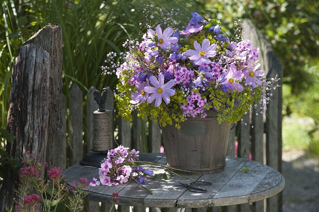 Farmers bouquet with Cosmos, Euphorbia