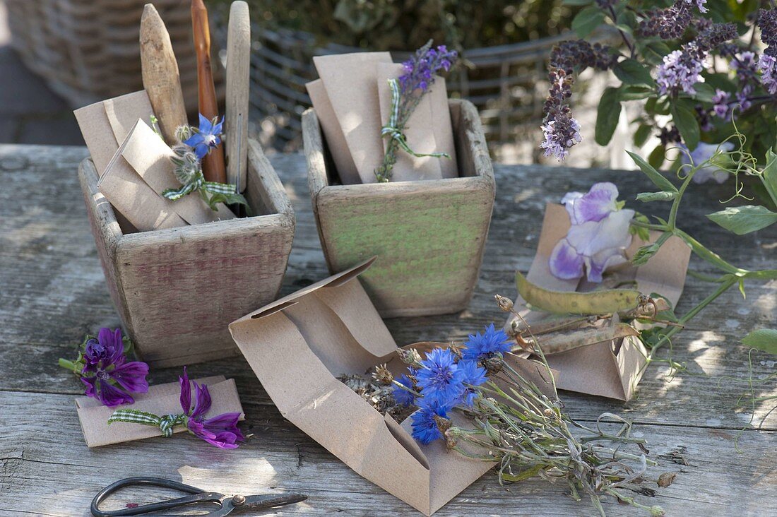 Collect seeds in homemade paper bags and give them away