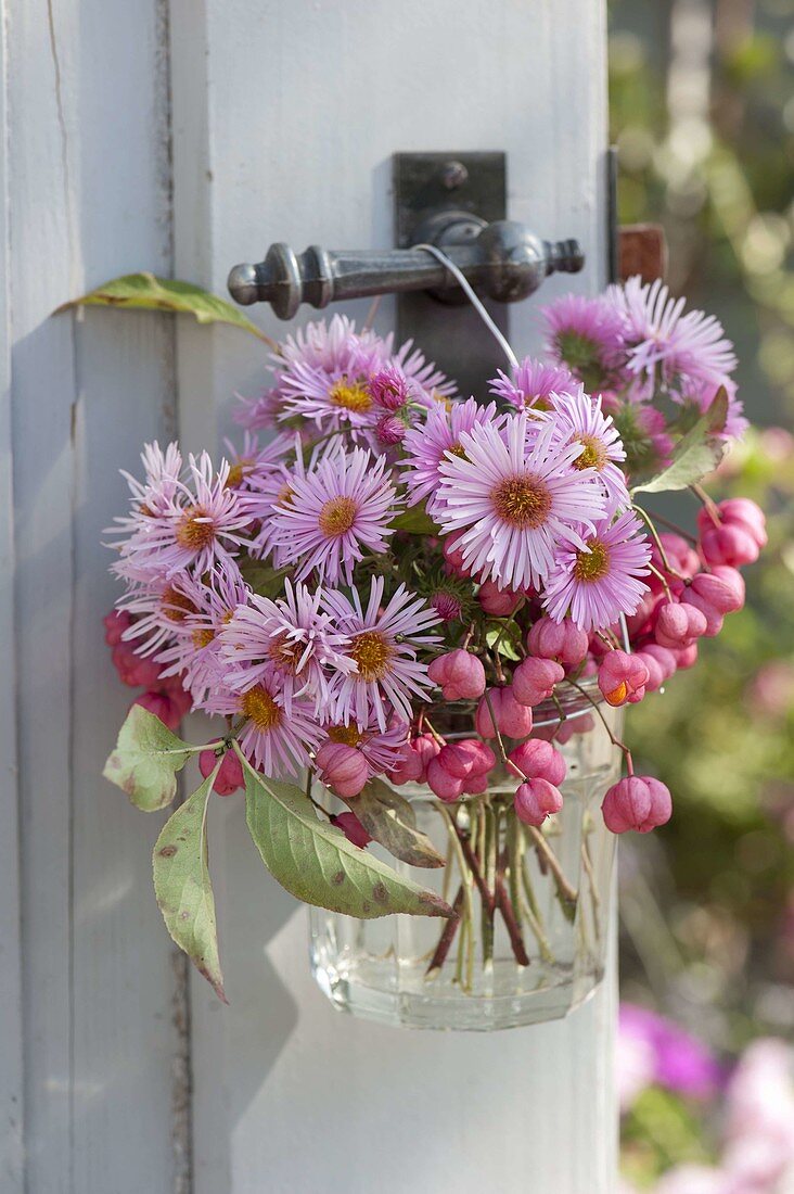 Small bouquet of Aster and fruit stalls of Euonymus