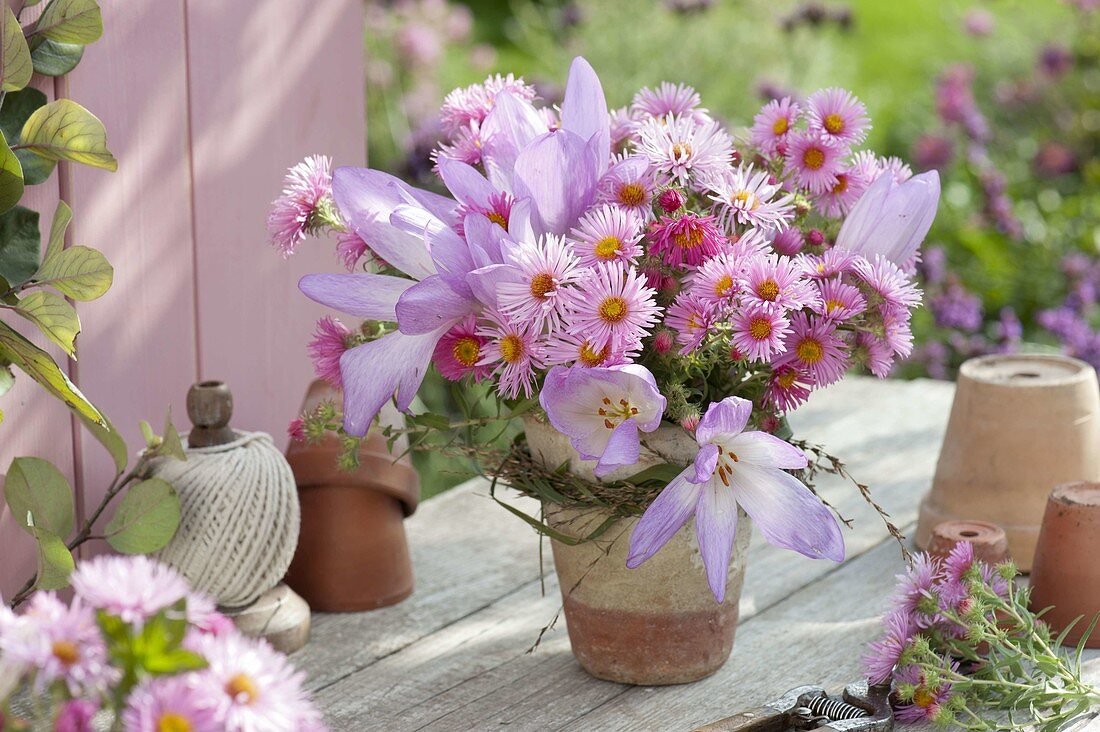 small bouquet of aster (white wood aster) and colchicum