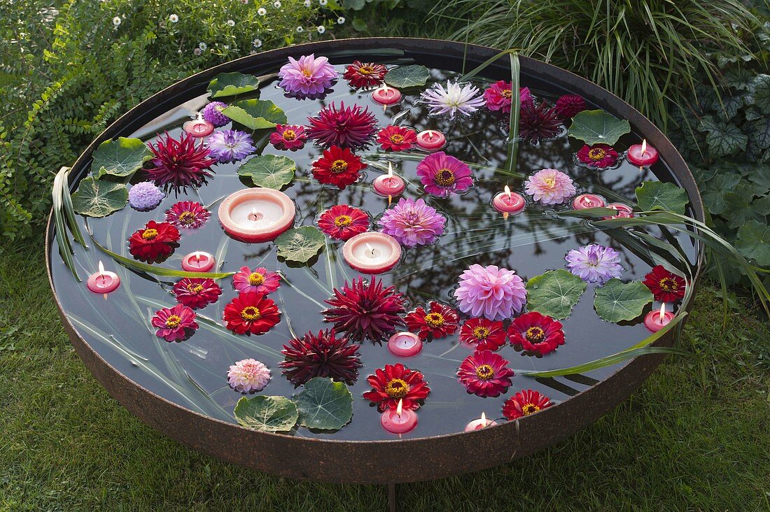 Fire-pan filled with water, Zinnia and Dahlia blossoms