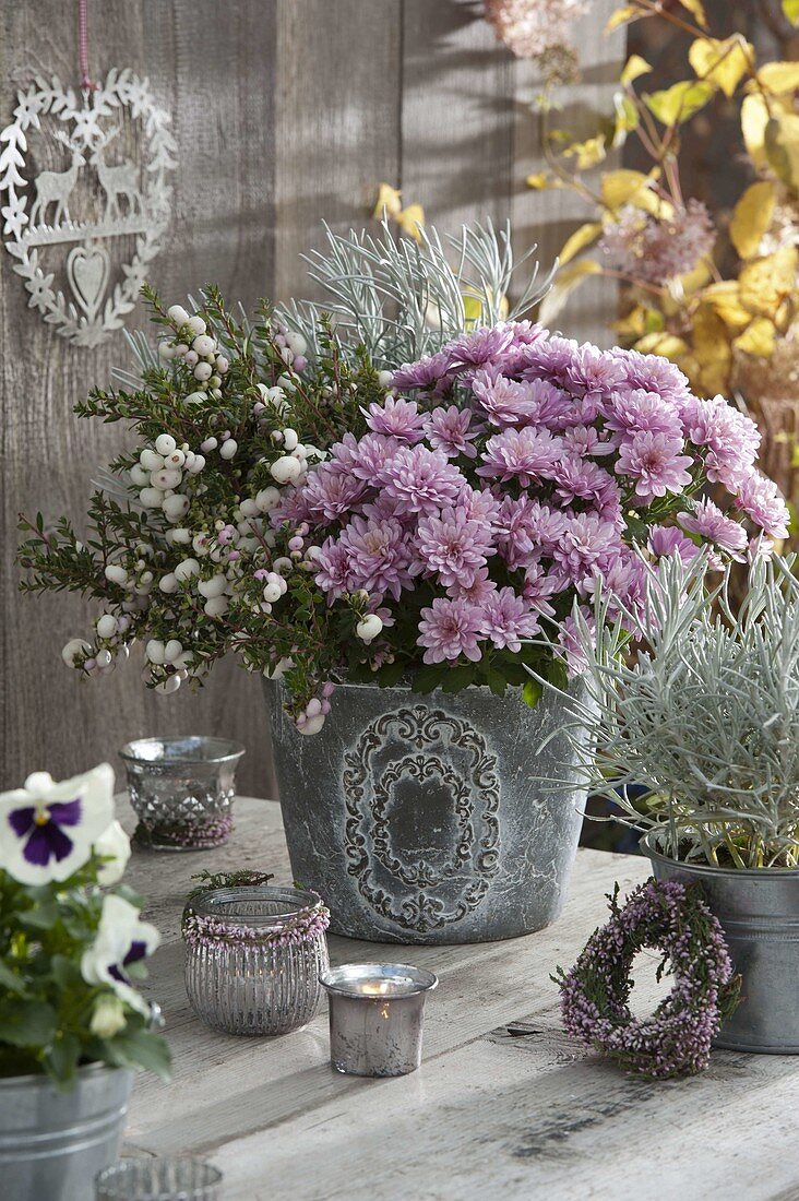 Silber - rosa - Herbstarrangement : Chrysanthemum (Herbstchrysantheme)