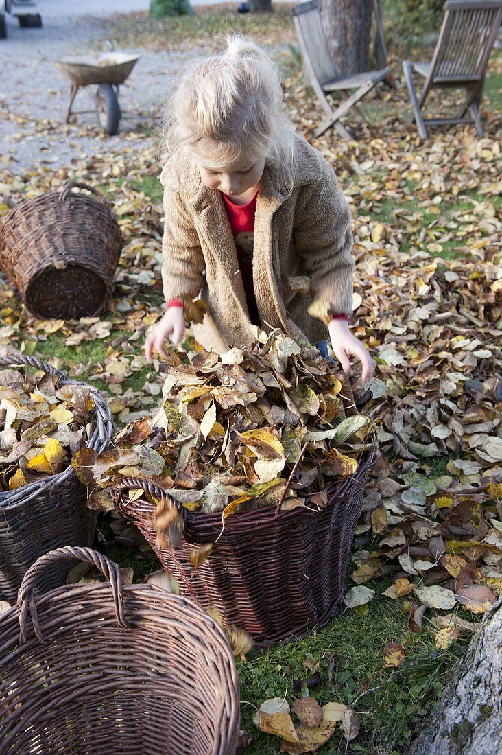 Herbstlaub im Garten