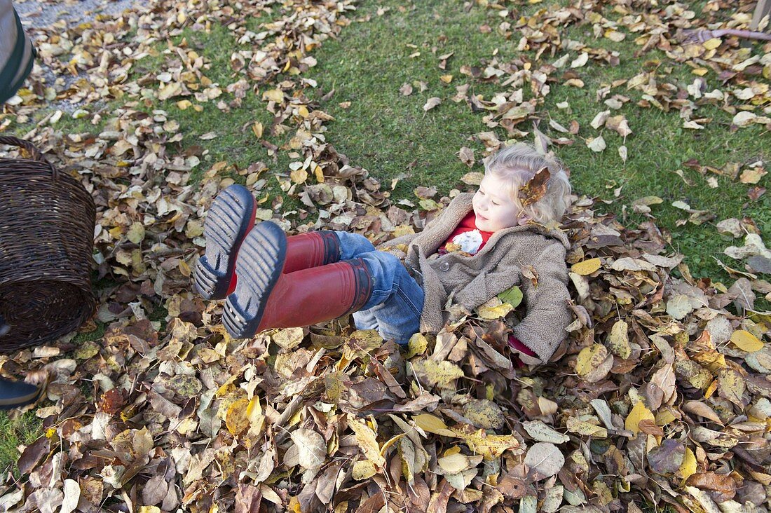 Herbstlaub im Garten